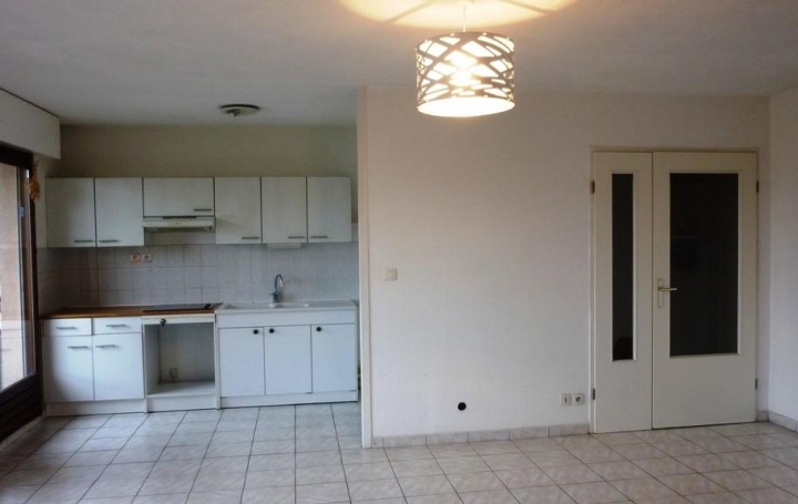 Annonces DOUVAINE : Appartement | ANNEMASSE (74100) | 52 m2 | 195 000 € 